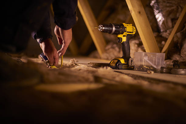 Best Insulation Installation Services in Broadview Park, FL